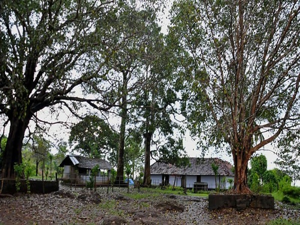കല്ലുരുട്ടി കയറ്റുന്ന ഭ്രാന്തൻ