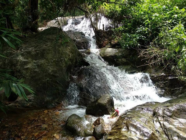 പേപ്പാറ വന്യജീവി സങ്കേതം