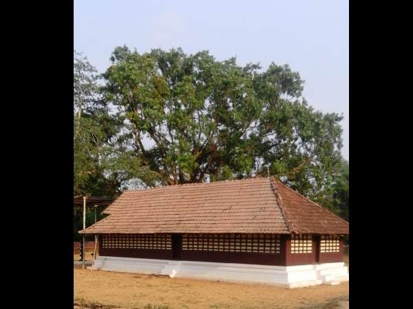 വള്ളിയൂർക്കാവിലമ്മ