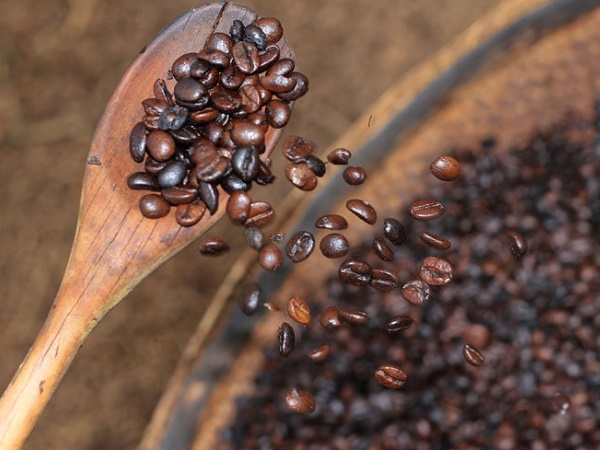 ഇന്ത്യൻ കാപ്പിയുടെ ജന്മനാട്