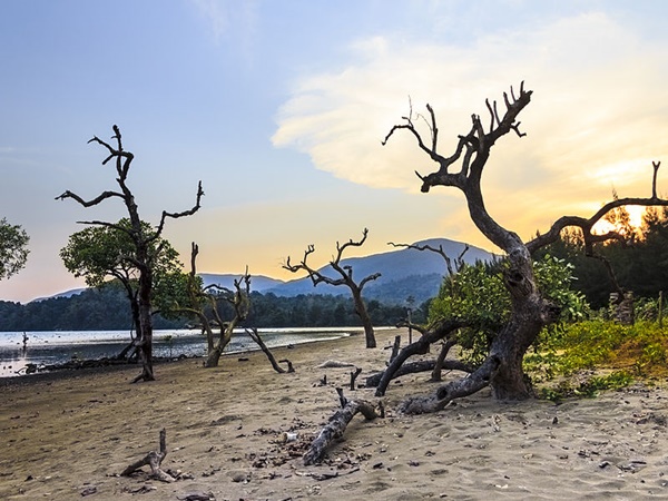 കടലിനു മുകളിലൂടെ നടക്കാം
