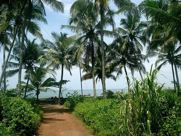 നഗരത്തിൽ നിന്നും മാറി