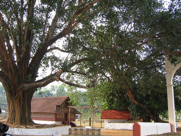 ആഘോഷങ്ങളുടെ കൊട്ടിക്കലാശം