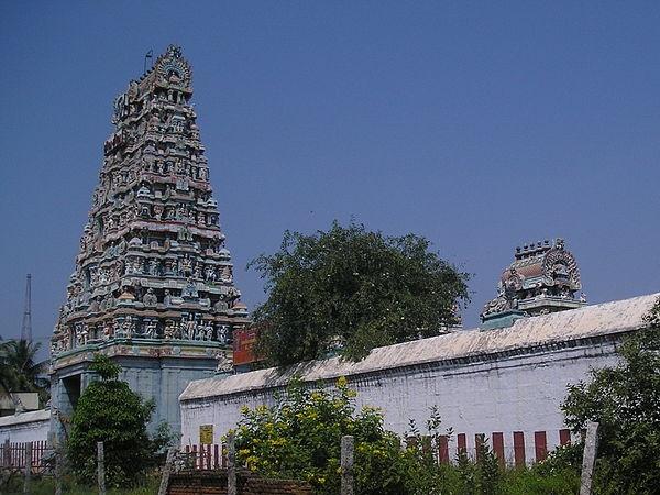 രക്തമൊലിക്കുന്ന മുല്ലച്ചെടികൾ