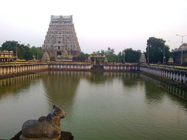 പുറത്തേയ്ക്ക് നോക്കിയിരിക്കുന്ന നന്ദി