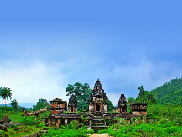പോളോ ഫോറസ്റ്റ്