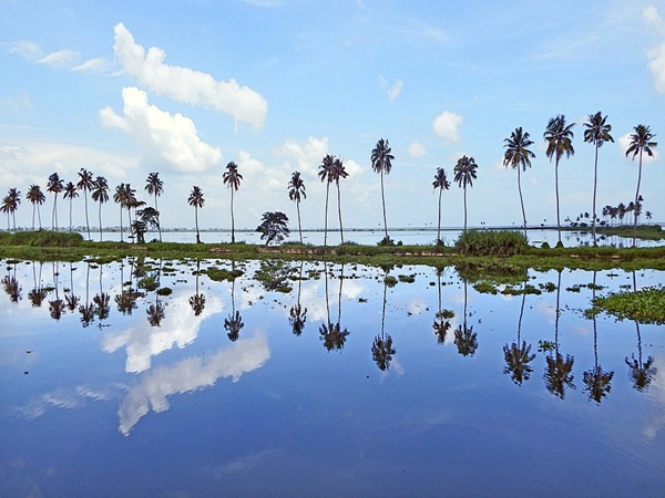 കുമരകം ബാക്ക്വാട്ടേഴ്സ്