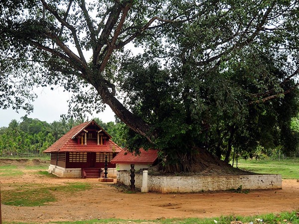 വള്ളിയൂർക്കാവ് ആറാട്ട്