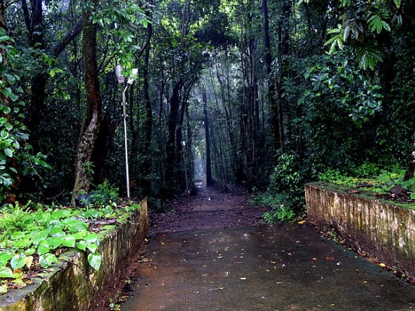 ഇരിങ്ങോൽ കാവ്