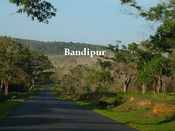 ബന്ദിപ്പൂർ