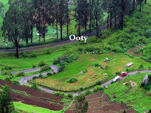 ഊട്ടി