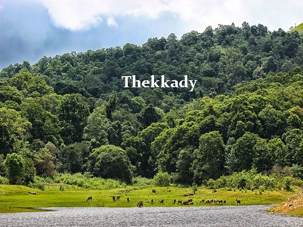 തേക്കടി
