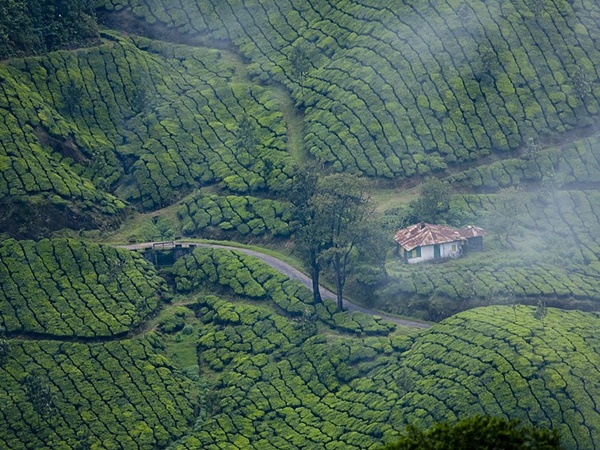 മൂന്നാർ