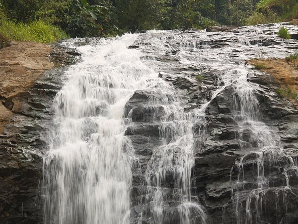 പച്ചപ്പിനു നടുവിലെ വെള്ളച്ചാട്ടം