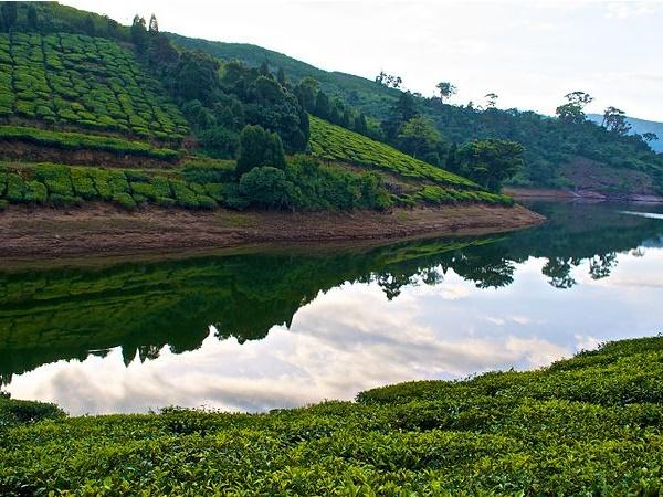 മൂന്നാറിലും മേലെ