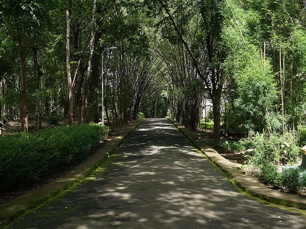 നിലമ്പൂർ തേക്ക് മ്യൂസിയം