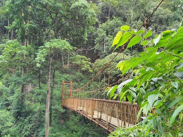 കാവേരി നദിയിലെ വെള്ളച്ചാട്ടം