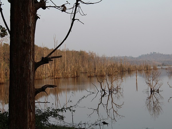 ഓടിനടക്കേണ്ട