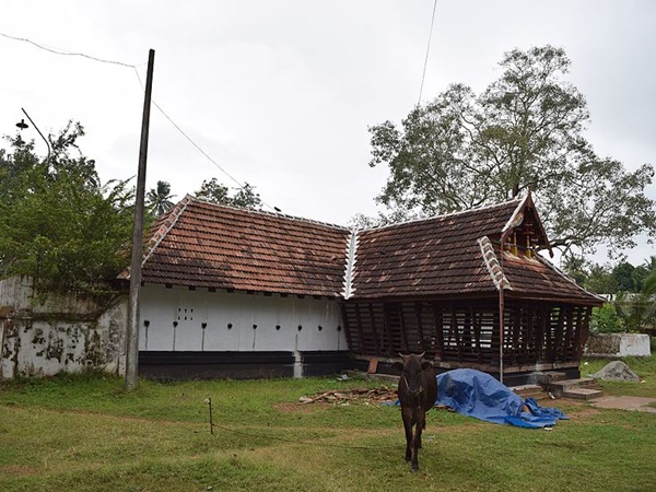 വാൽക്കണ്ണാടി രൂപത്തിലുള്ള യക്ഷി