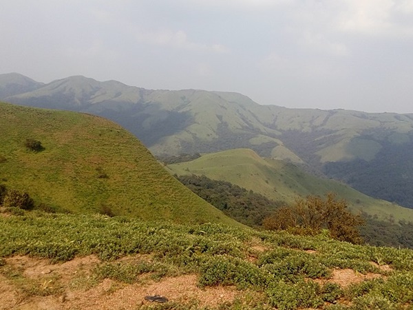 കൊതിപ്പിച്ചു കടന്ന മണ്ഡൽപെട്ടി