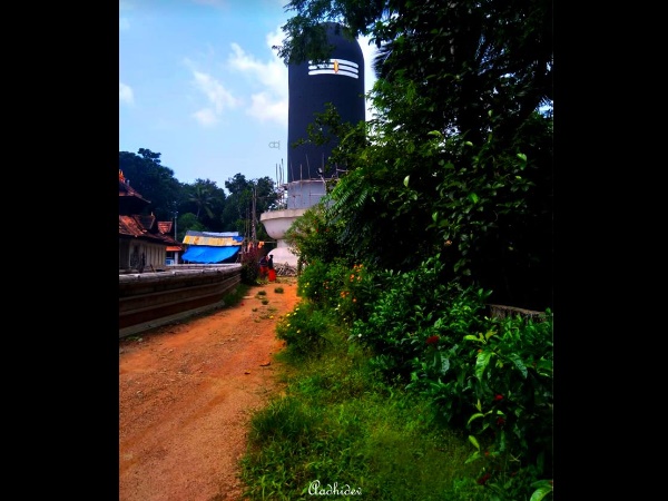 പുണ്യഭൂമിയിൽ നിന്നും!