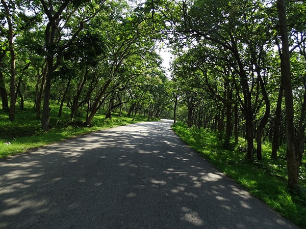 മുതുമല ദേശീയോദ്യാനം