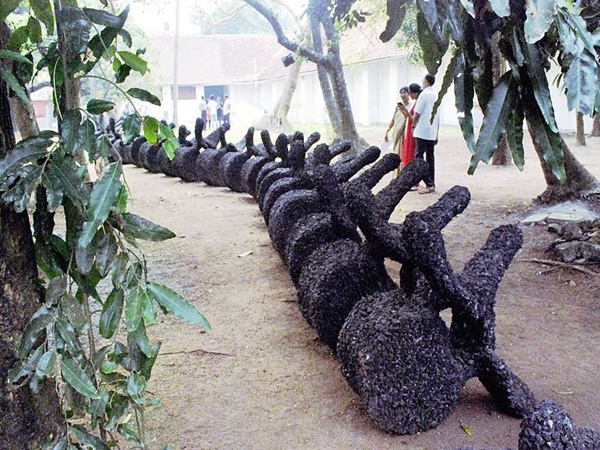 ബിനാലെ പ്രവേശന സമയം