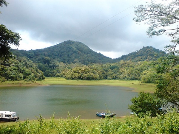 തേക്കടി