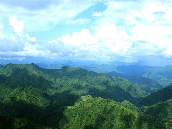അസമിലെ ജില്ല