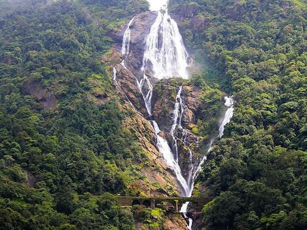 കാഴ്ചയിൽ വന്യം... ഭീകരം...