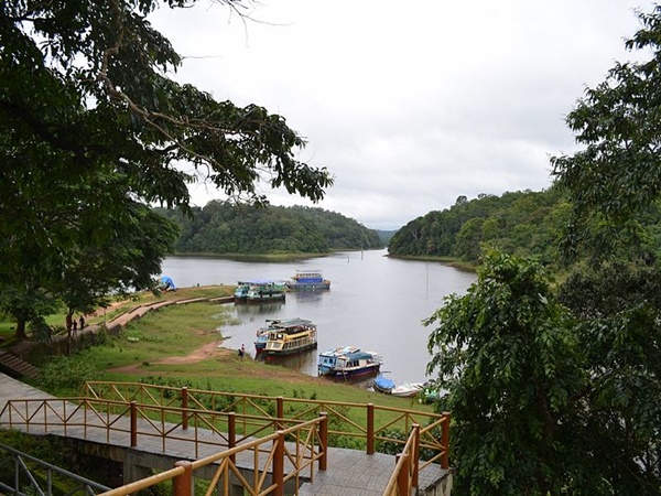 കേരളത്തിലെ ആദ്യ വന്യജീവി സങ്കേതം