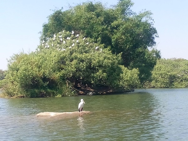 കാണേണ്ട ജൈവവൈവിധ്യം