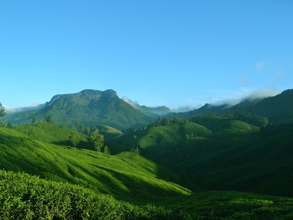 മൂന്നാർ