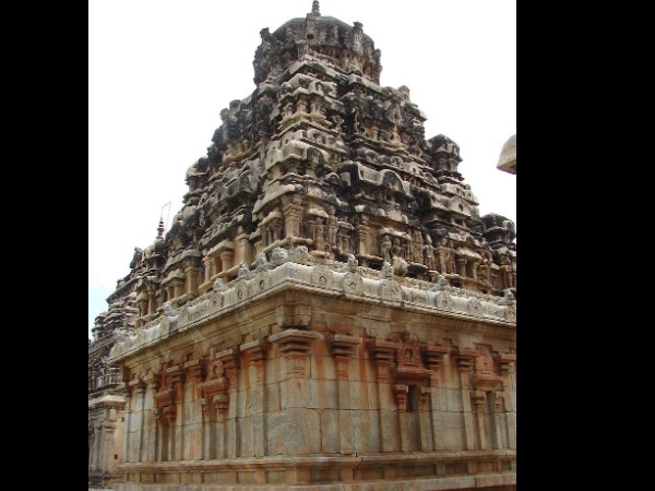 അവനി