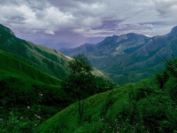 5200 അടി ഉയരത്തിൽ