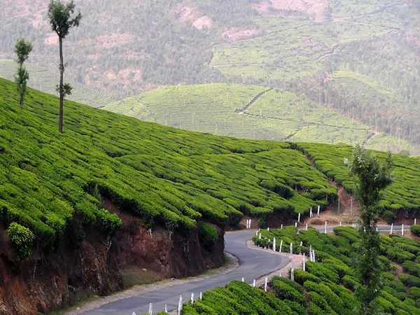 അടുത്തു കാണുവാൻ