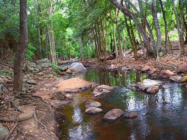 ചിന്നാർ വന്യജീവി സങ്കേതം