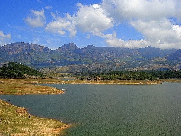 നാലു ദിക്കിലേക്കും