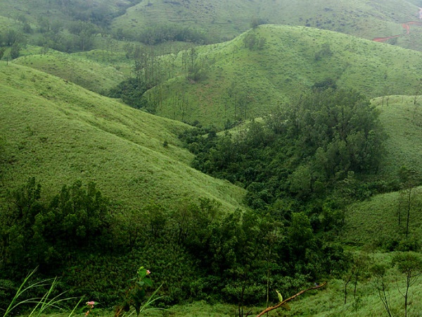 വാഗമൺ
