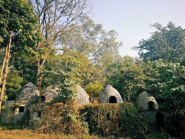 ദി ബീറ്റിൽസ്