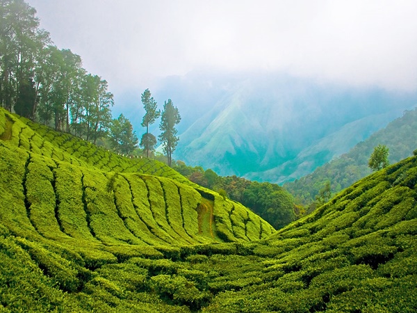 മൂന്നാർ