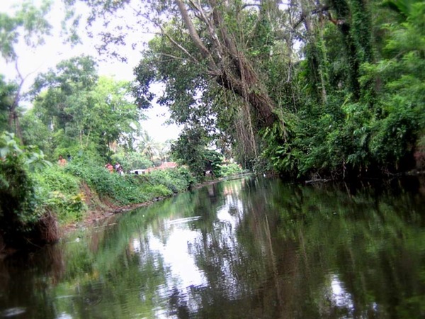 നാടിനെ ബന്ധിപ്പിക്കുന്ന തോടുകൾ