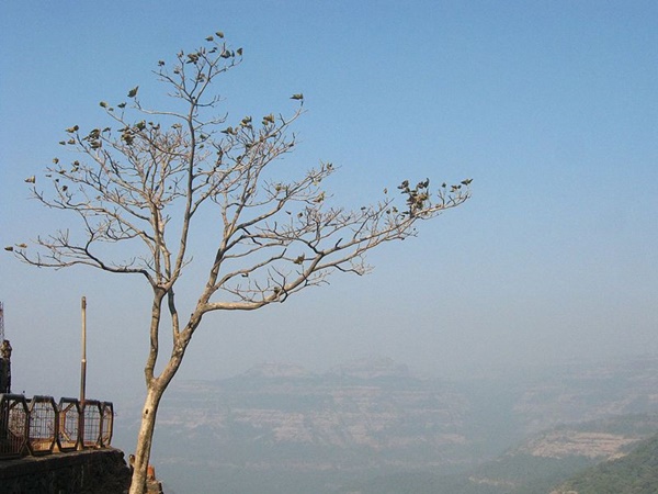 കുനെ വെള്ളച്ചാട്ടം