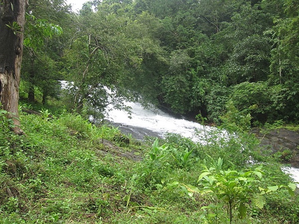 ഉരുളൻതണ്ണി വെള്ളച്ചാട്ടം