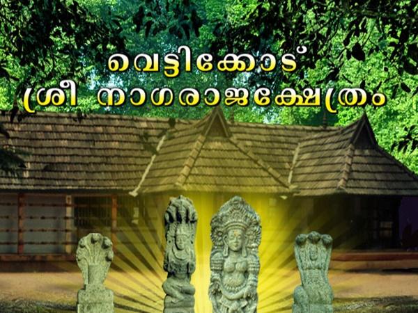 വെട്ടിക്കോട്ട് ആദിമൂലം നാഗരാജക്ഷേത്രം