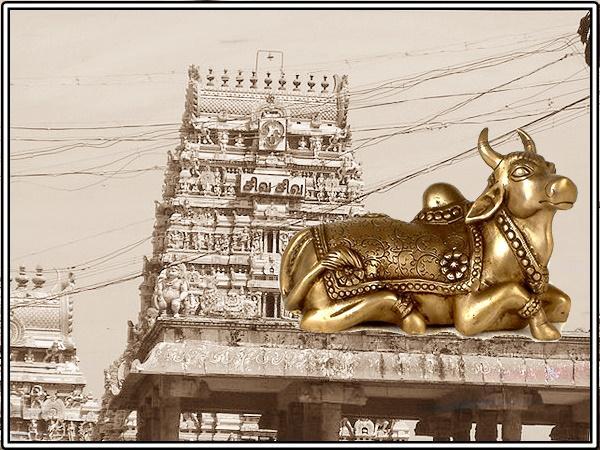 മാസിലാമണീശ്വര ക്ഷേത്രം തിരുമുല്ലൈവോയൽ