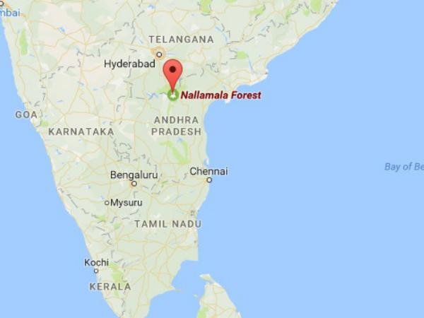 എവിടെയാണീ അത്ഭുതമല