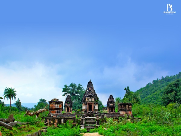 പോളോ ഫോറസ്റ്റ്