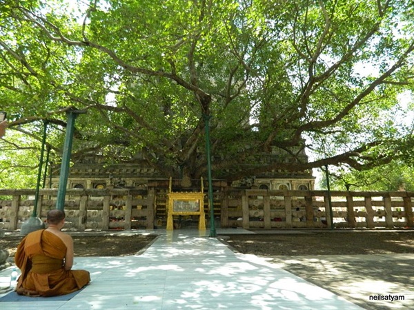 ജ്ഞാനോദയം ലഭിച്ചിടം