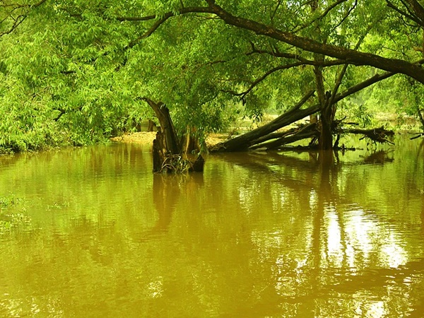 മഴക്കാലമായാൽ